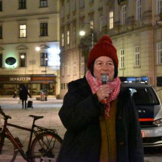 Helga Suleiman, Palästina Solidarität Steiermark, Steirische Friedensplattform
