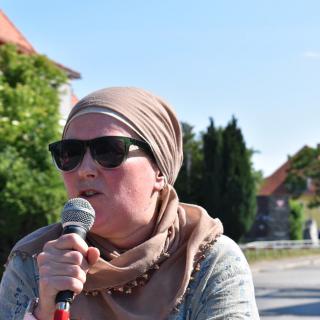 Helga Suleiman, Steirische Friedensplattform und Palästina Solidarität Österreich