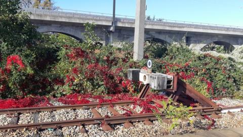 EU führt die Bahn auf Abstellgleis