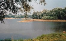 bedrohte Natur Lobau